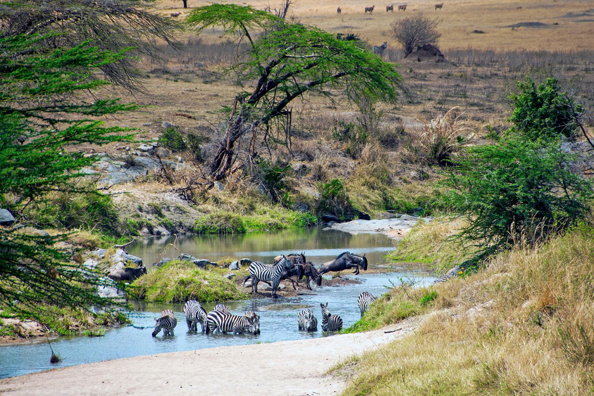 Tanzania during May
